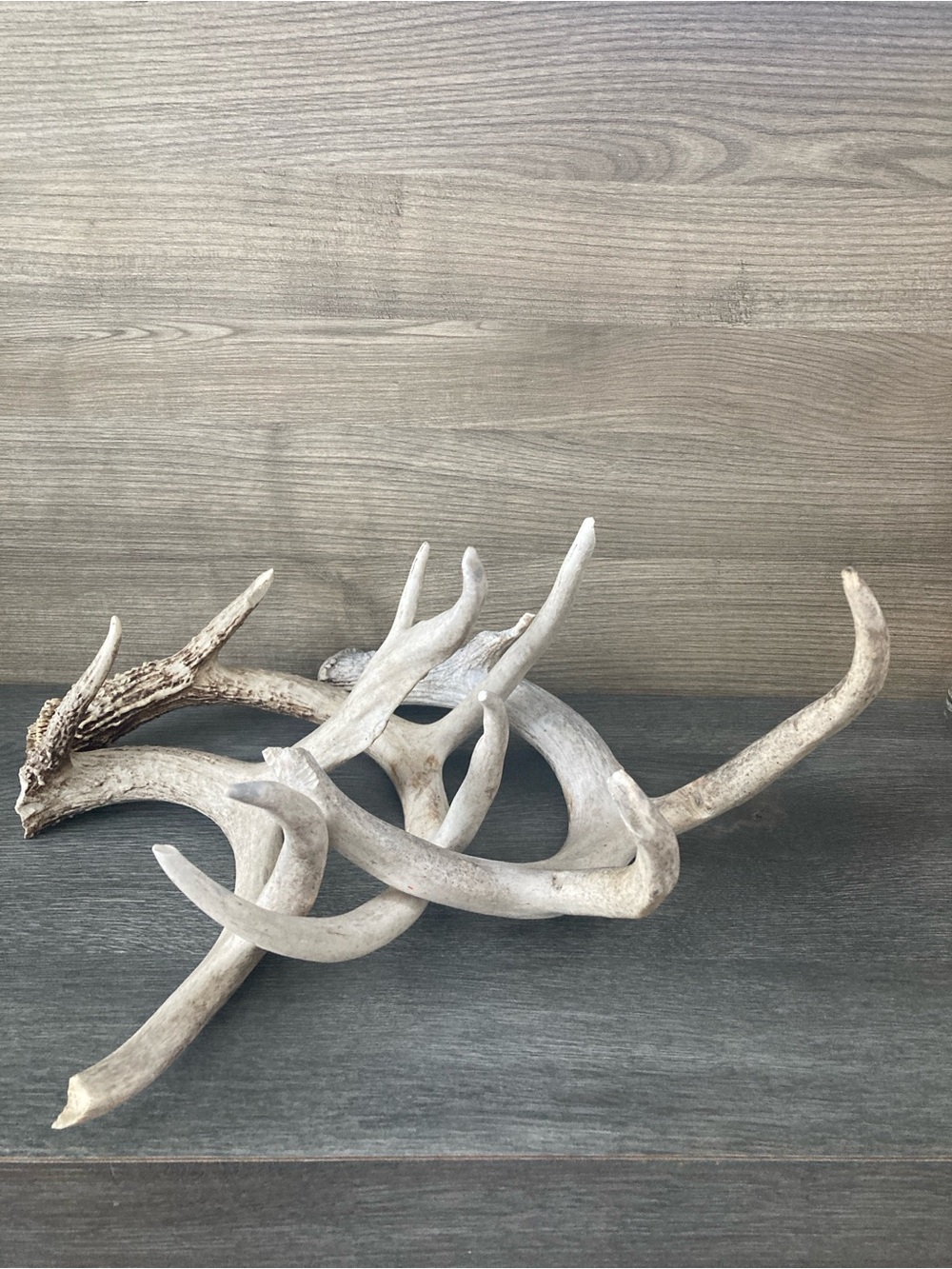 Natural Deer Antler Sheds
Decor Rustic Cabin Art Set of 3